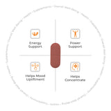 ATOM Testobooster I Testosterone for Men I 60 Veg Tablets