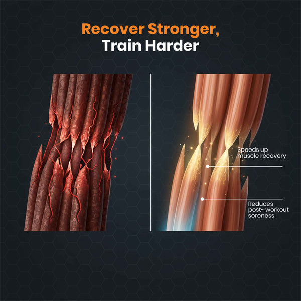 ATOM NITRO Whey with CREASURE®