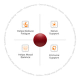 ATOM Iron & Folic Acid with Zinc | Vitamin C & B12 | 60 Veg Tablets