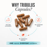 AS-IT-IS Nutrition Tribulus Capsules